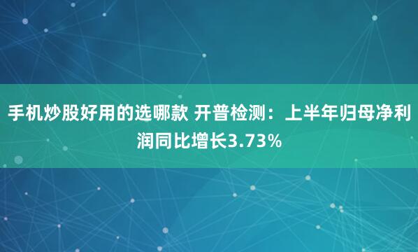 手机炒股好用的选哪款 开普检测：上半年归母净利润同比增长3.73%
