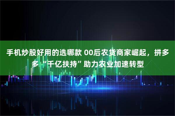 手机炒股好用的选哪款 00后农货商家崛起，拼多多 “千亿扶持”助力农业加速转型